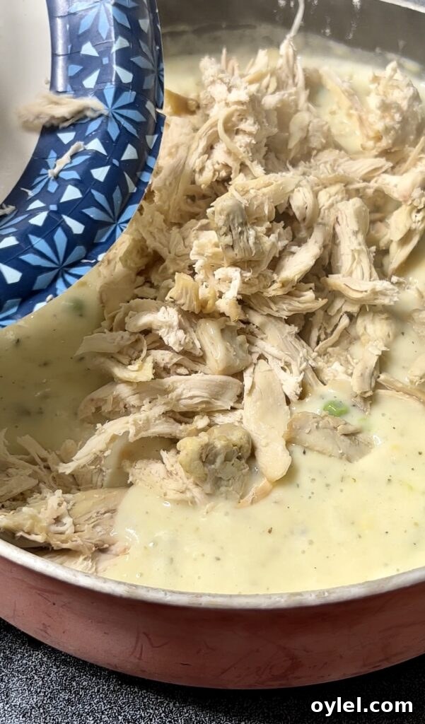 Classic Chicken Pot Pie with Flaky Puff Pastry 9 img 1888 9