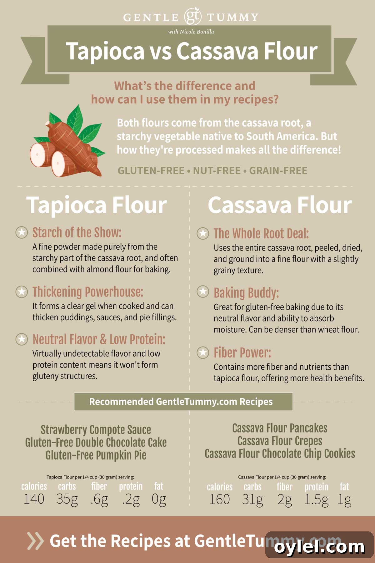 Gluten Free Cassava Flour Chocolate Chip Cookies Recipe 2 Infographic explaining how to use tapioca flour and cassava flour in recipes