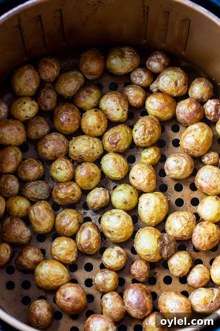 Crispy Air Fryer Baby Potatoes with Garlic and Herbs 2 Baby potatoes in a Power Air Fryer XL