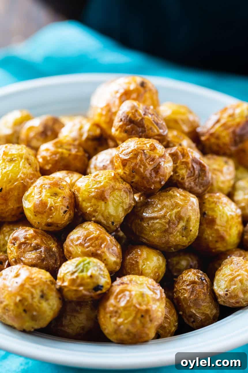 Crispy Air Fryer Baby Potatoes with Garlic and Herbs 3 Air Fryer Baby Potatoes