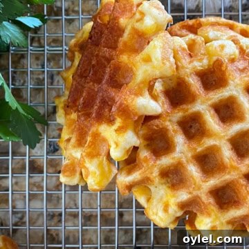 cheddar waffles
