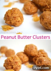 Homemade Peanut Butter Clusters Recipe 4 Peanut Butter Clusters close-up