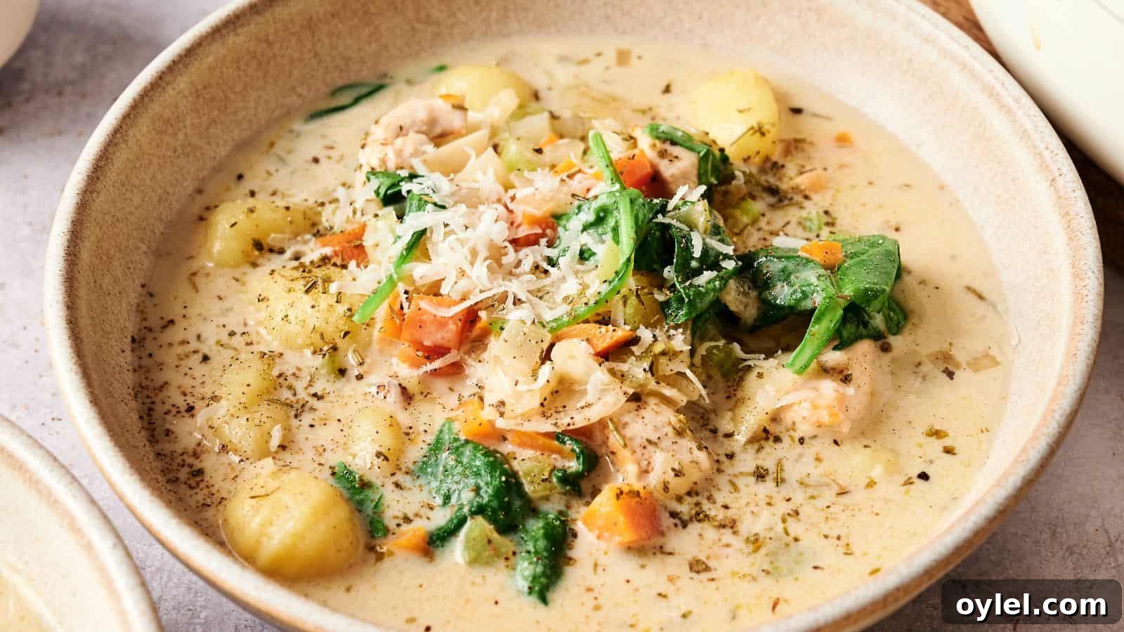 35 Chicken Breast Recipes to Simplify Weeknight Dinners 15 A bowl of creamy soup with gnocchi, spinach, carrots, chicken pieces, and shredded cheese, garnished with herbs and black pepper.