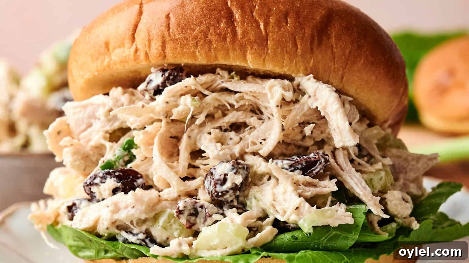 35 Chicken Breast Recipes to Simplify Weeknight Dinners 2 A shredded chicken salad sandwich with lettuce, raisins, and a creamy dressing served in a brioche bun.