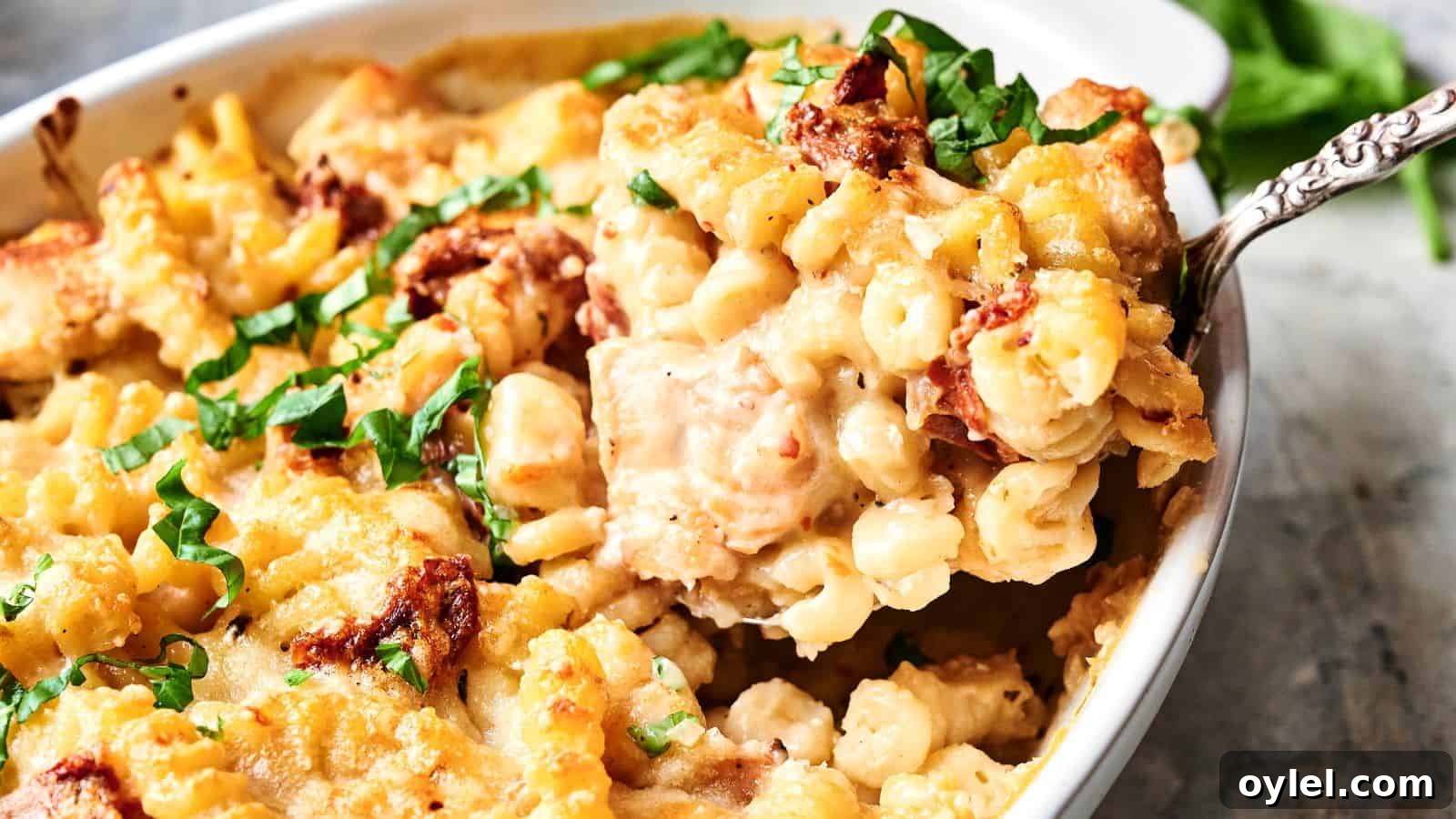 35 Chicken Breast Recipes to Simplify Weeknight Dinners 23 A casserole dish filled with baked pasta topped with melted cheese and garnished with chopped herbs.