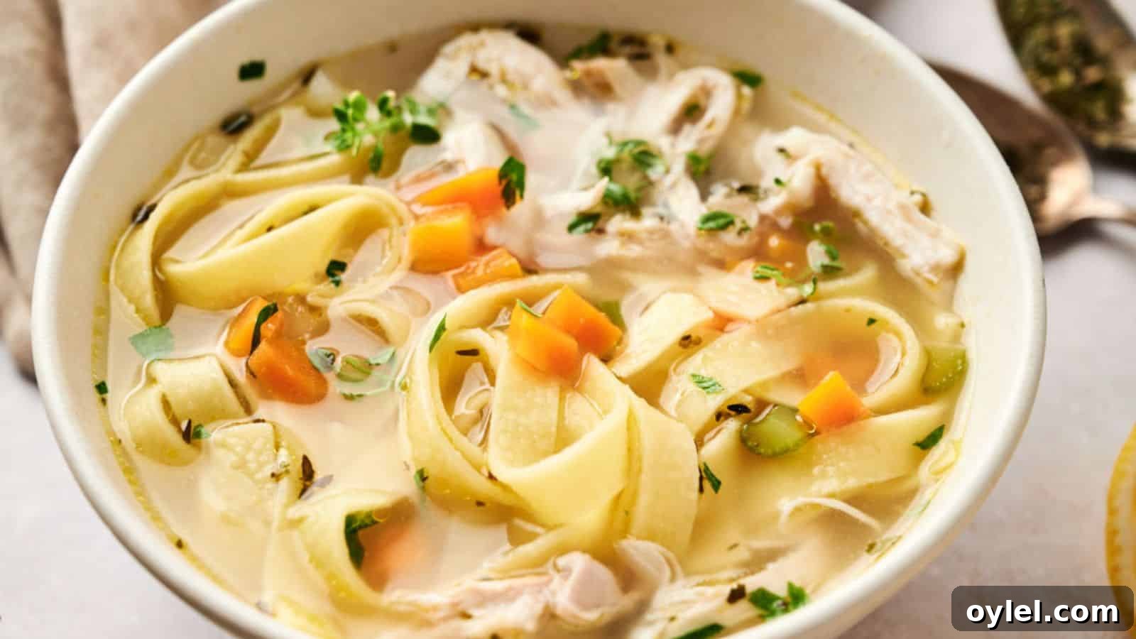 35 Chicken Breast Recipes to Simplify Weeknight Dinners 24 A bowl of chicken noodle soup with wide noodles, chunks of chicken, carrots, celery, and herbs in a clear broth.