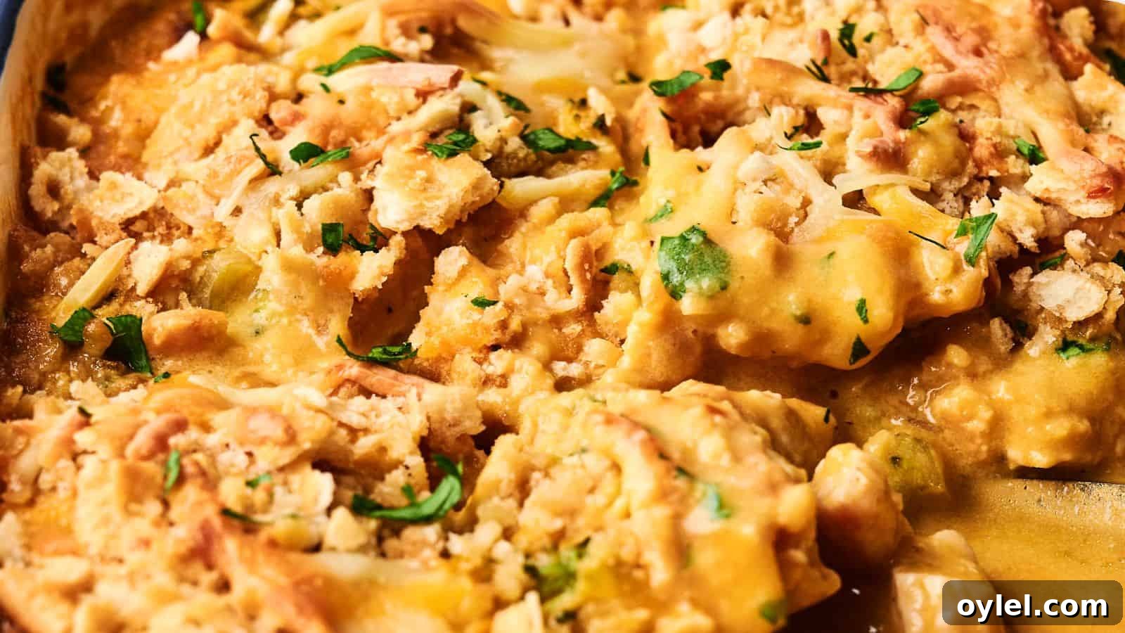 35 Chicken Breast Recipes to Simplify Weeknight Dinners 28 Close-up of a cheesy casserole topped with chopped parsley and crumbly bits, featuring melted cheese and a creamy texture.
