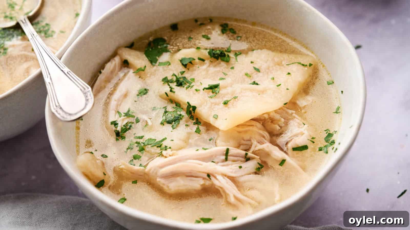 35 Chicken Breast Recipes to Simplify Weeknight Dinners 31 A bowl of Cracker Barrel Chicken and Dumplings garnished with chopped parsley.