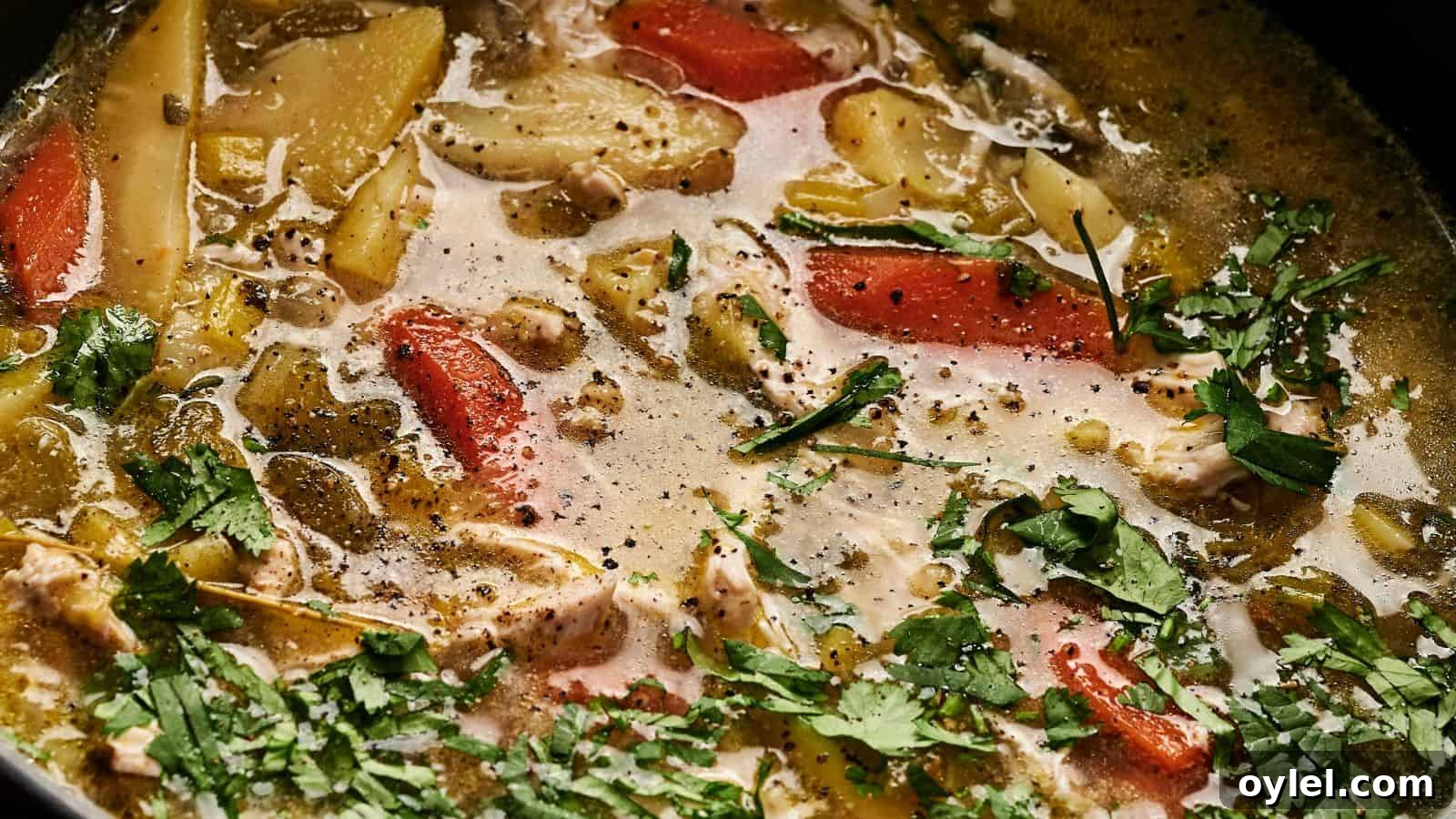 35 Chicken Breast Recipes to Simplify Weeknight Dinners 5 A pot of soup with sliced carrots, potatoes, and herbs floating in a seasoned broth.