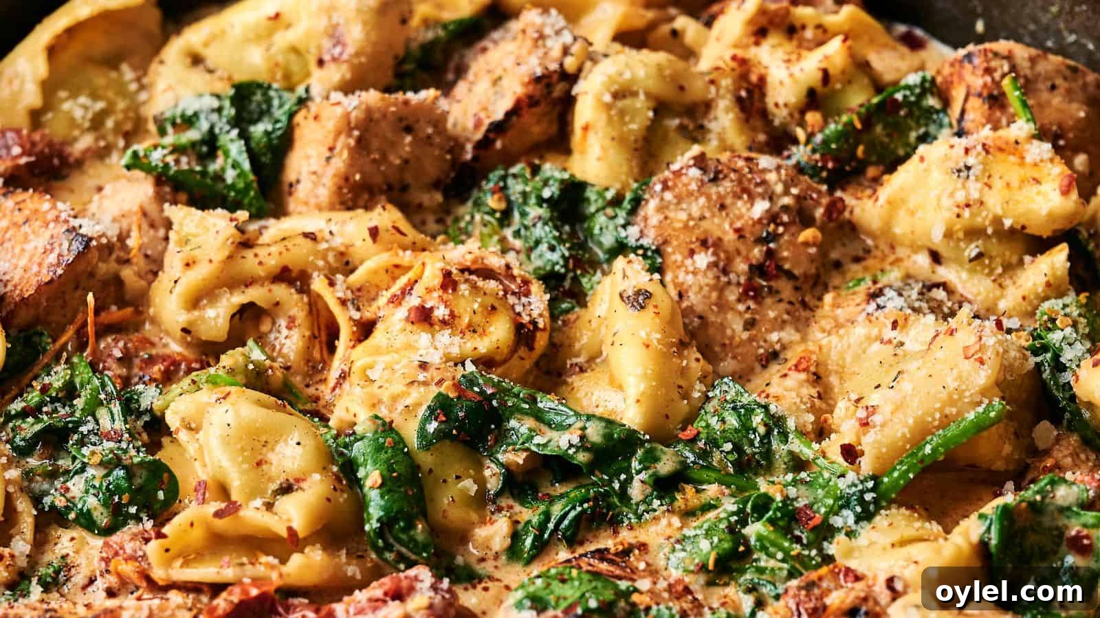 35 Chicken Breast Recipes to Simplify Weeknight Dinners 6 Creamy tortellini pasta with spinach, grilled chicken slices, and a sprinkle of grated cheese and herbs.
