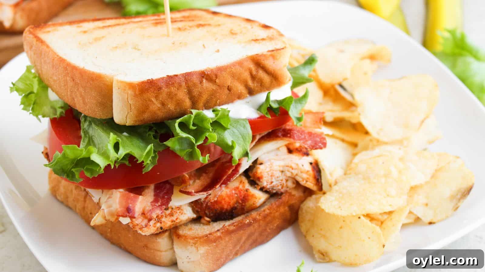 35 Chicken Breast Recipes to Simplify Weeknight Dinners 7 A grilled chicken sandwich with lettuce, tomato, bacon, and mayonnaise on toasted bread, served with potato chips on a white plate.