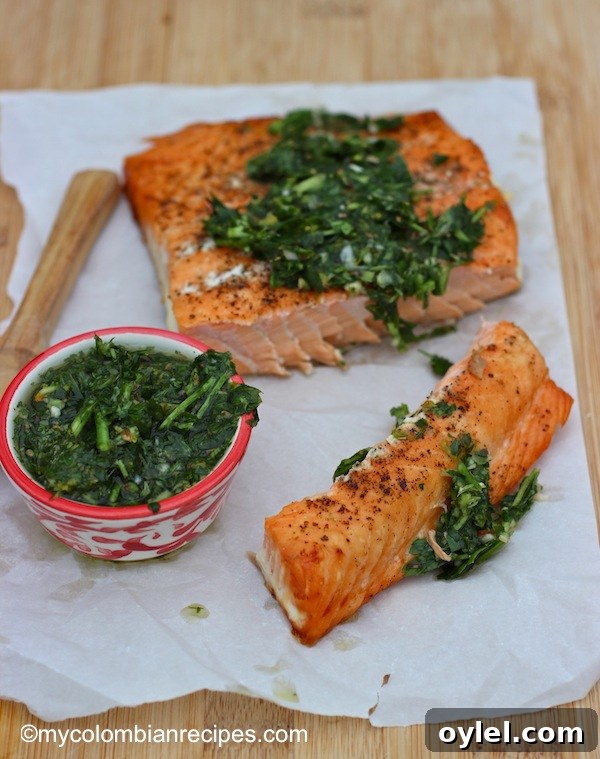 Samon with Chimichurri Sauce