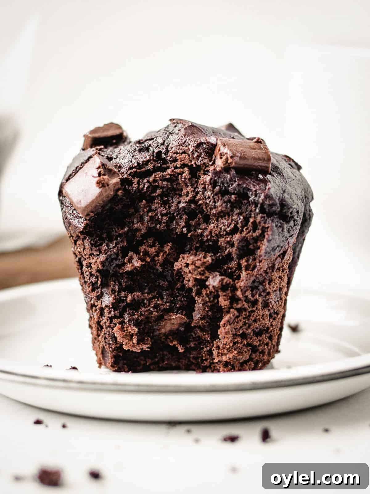 large double chocolate muffin on a plate