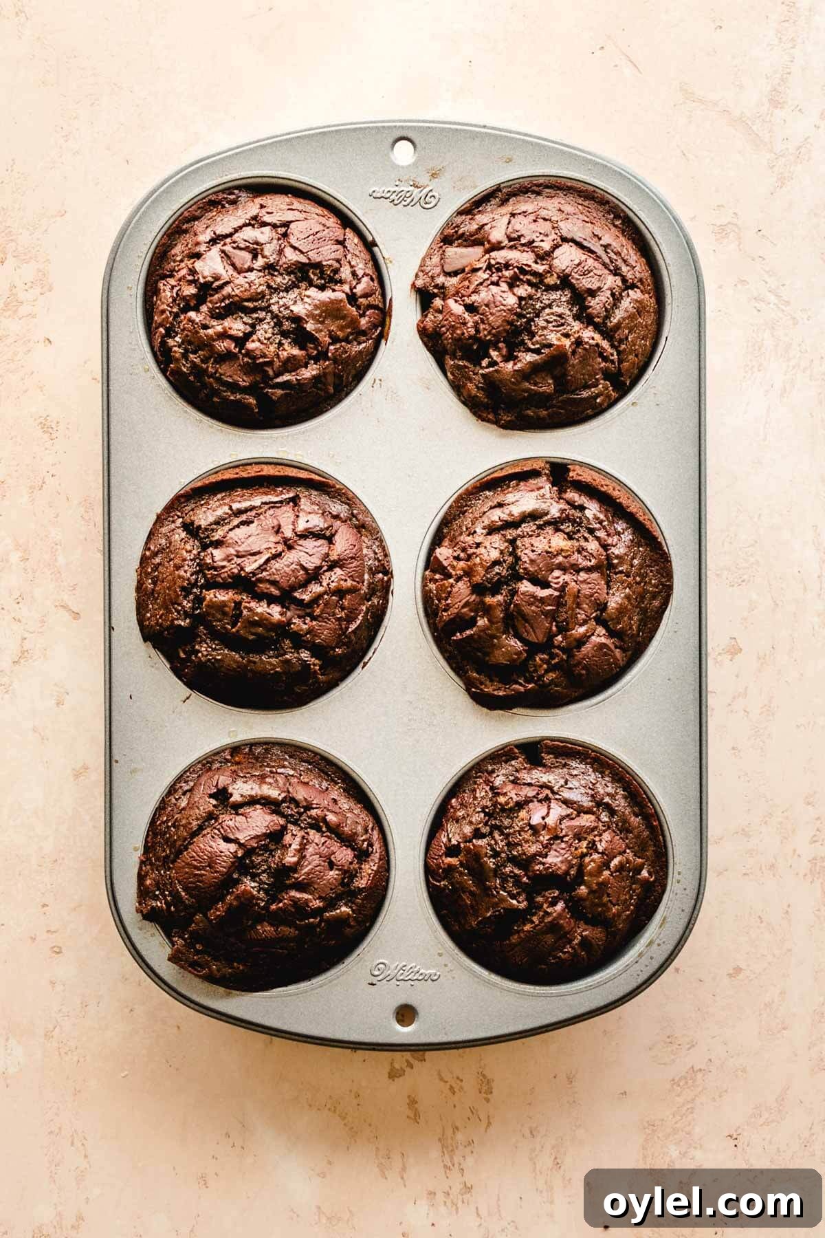 Fresh baked jumbo chocolate muffins in the muffin pan.