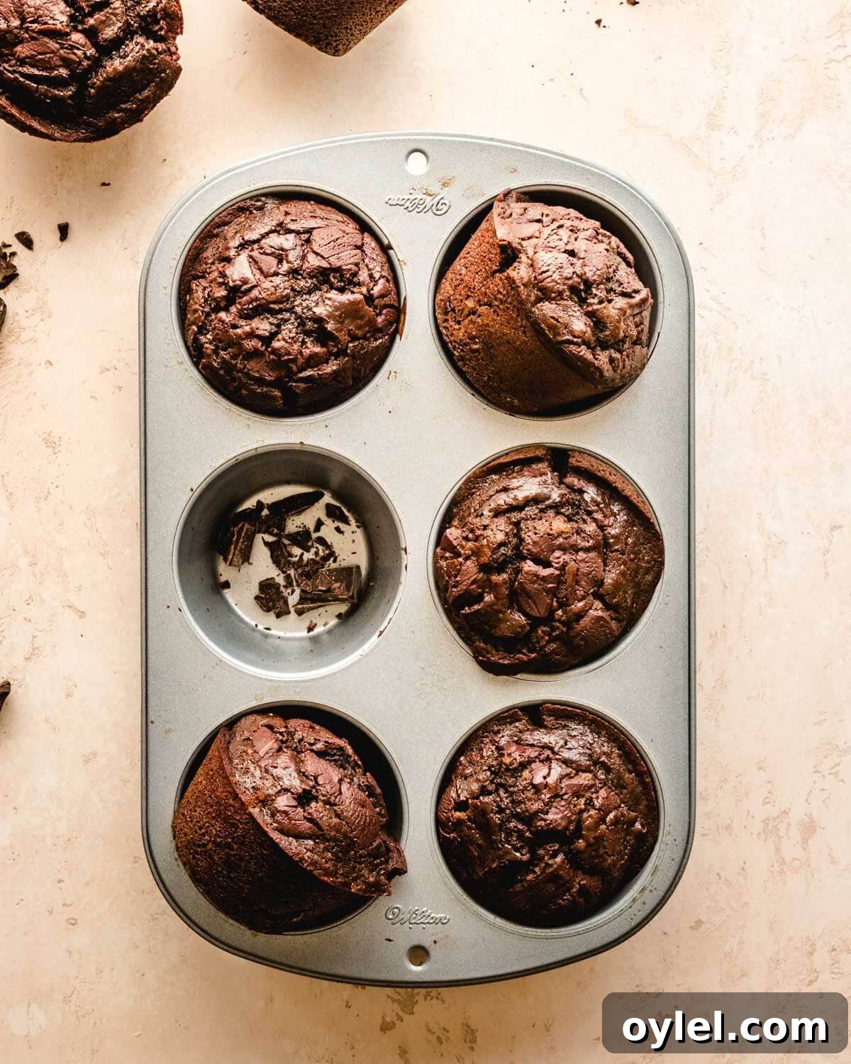 Freshly baked chocolate muffins in the muffin tin.