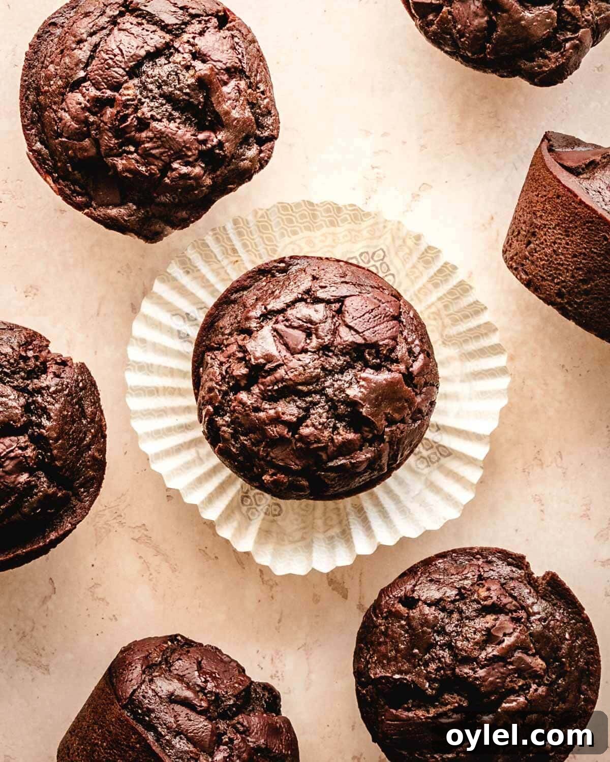 Large chocolate chunk muffin on a paper cupcake liner.