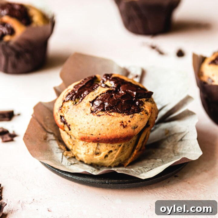 Jumbo bakery-style chocolate chip muffins on a plate.