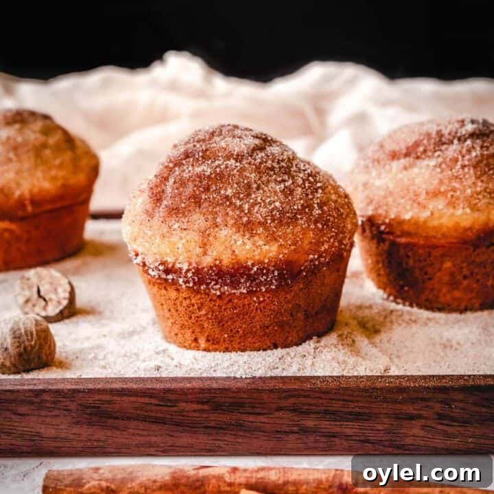 Cinnamon sugar donut muffins are so delicious.