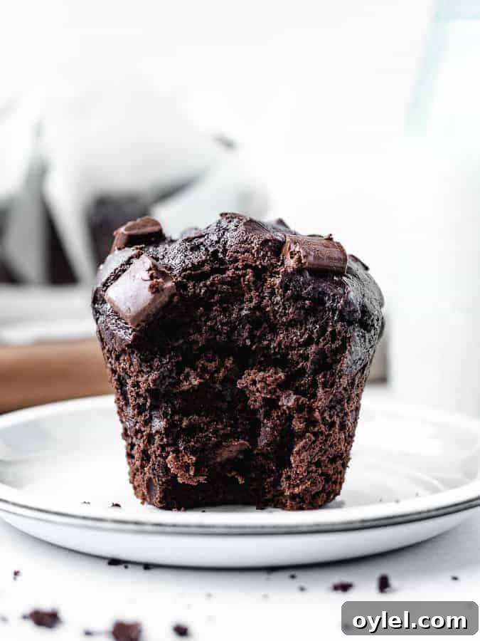 Double Chocolate Chip Muffin close-up with bite taken out, milk behind