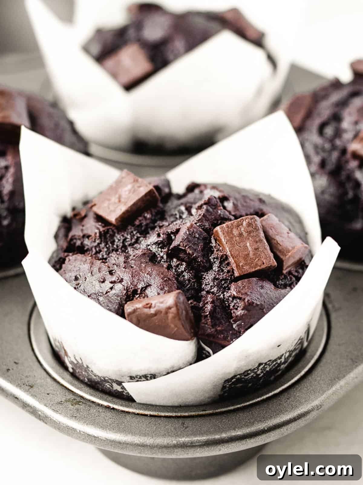 close-up of chocolate chunk muffins in a muffin tin