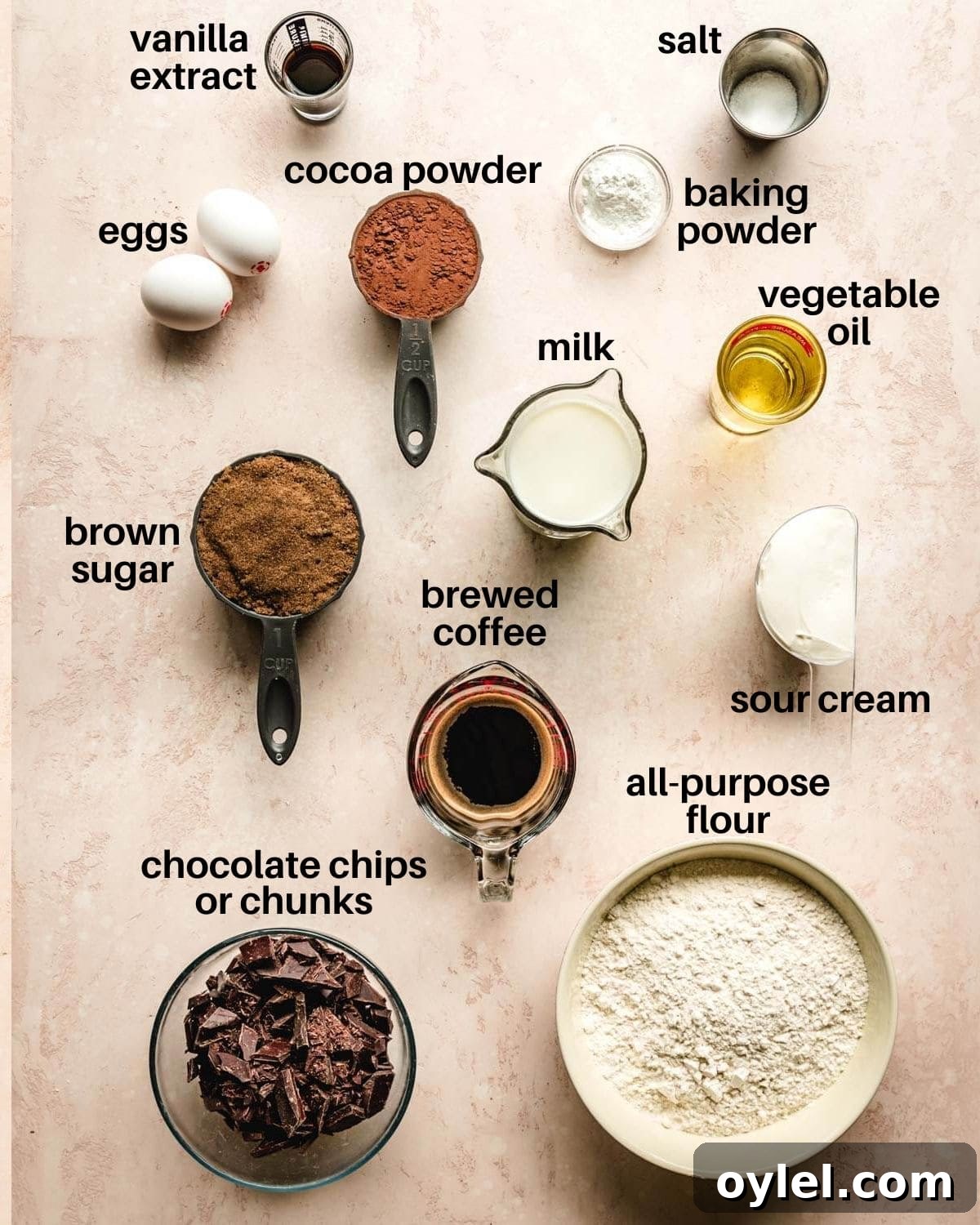 Ingredients needed to make Double Chocolate Chip Muffins.