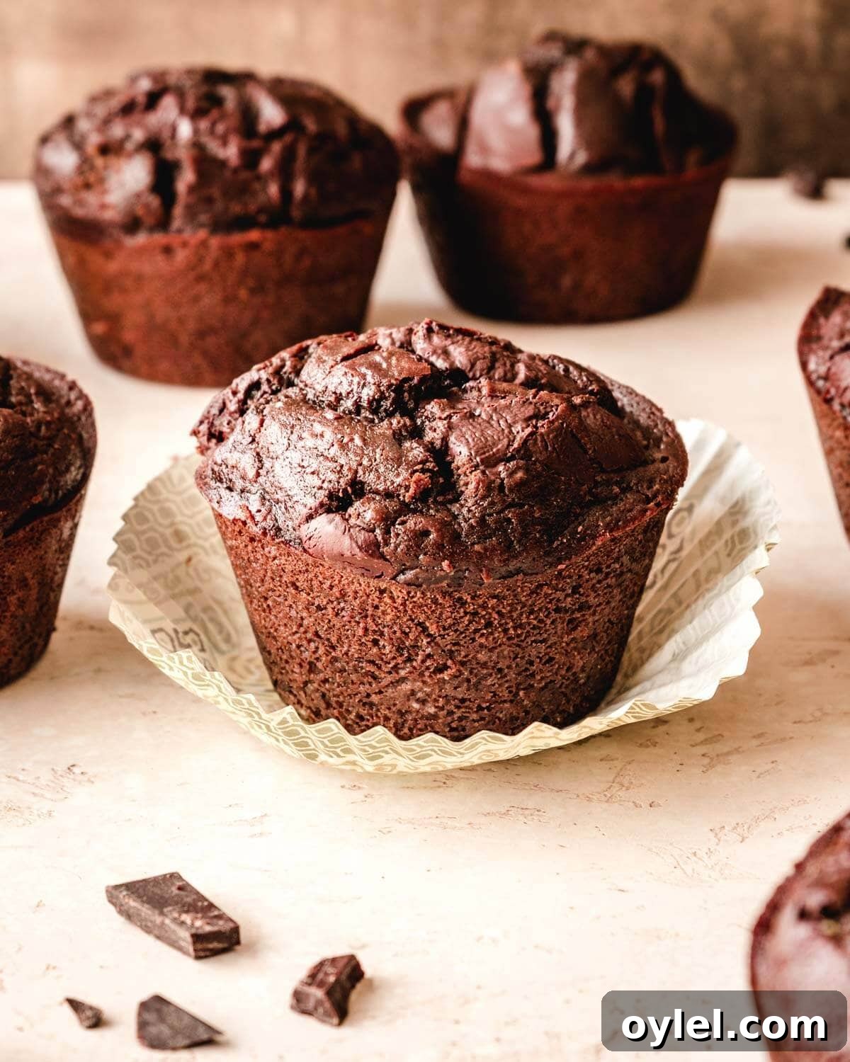 Jumbo double chocolate chip muffin on a paper muffin liner.