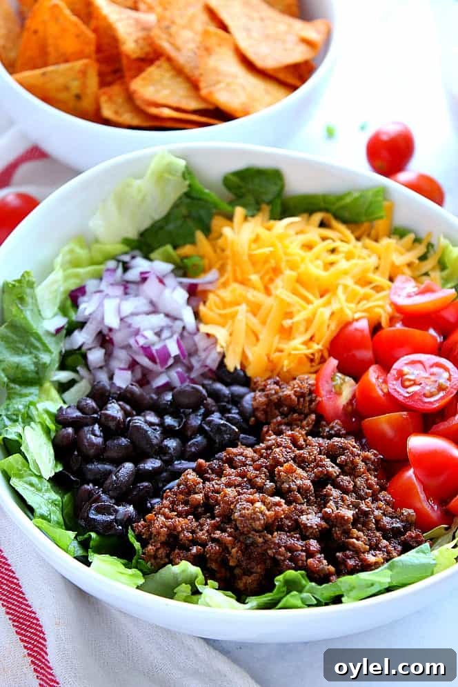 Dorito Taco Salad Recipe - chopped lettuce, tomatoes, seasoned meat, black beans, onions, zesty dressing and crunchy tortilla chips is everything you love about tacos in one tasty salad! Side shot of ingredients for taco salad in white bowl.