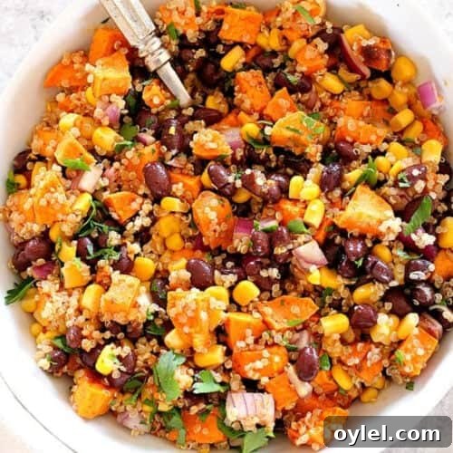 Sweet potato and quinoa salad in a white bowl with a fork.