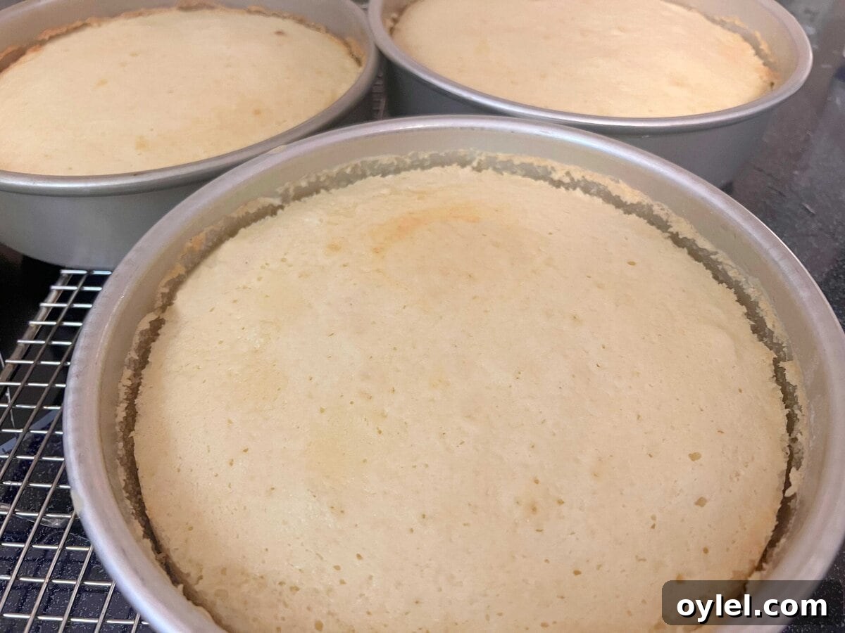 Freshly baked cake layers, cooling on a wire rack.
