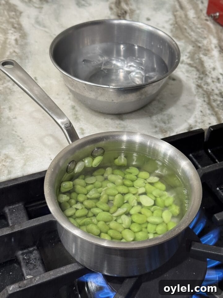 Coconut Curry Salmon in Creamy Fragrant Broth 5 a photo of edamame cooking in water