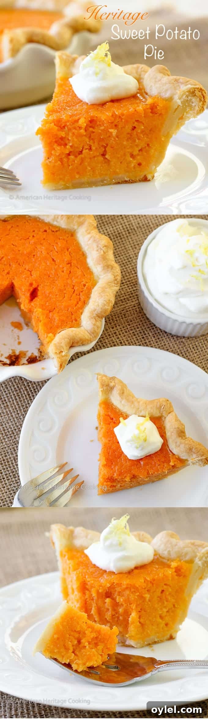 Classic Southern Sweet Potato Pie Recipe with Spiced Filling 10 Mary Randolfs Sweet Potato Pie