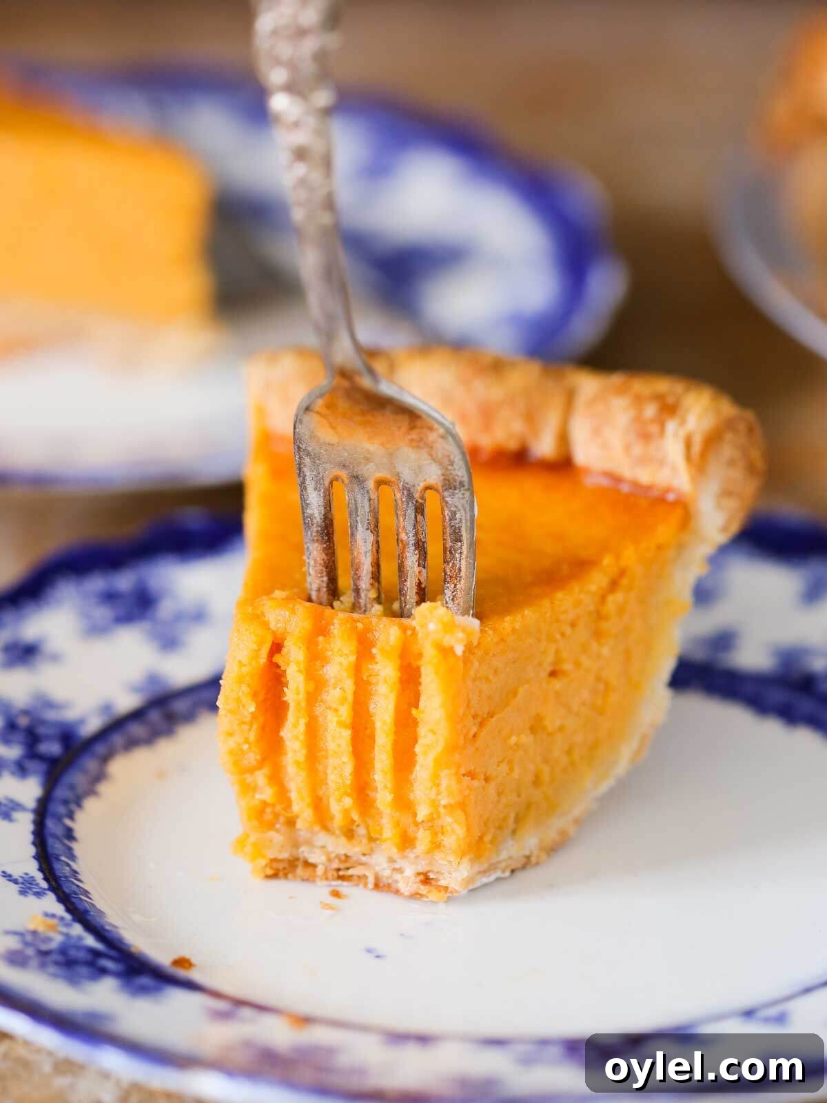 Classic Southern Sweet Potato Pie Recipe with Spiced Filling 4 sweet potato pie slice with fork marks and fork.