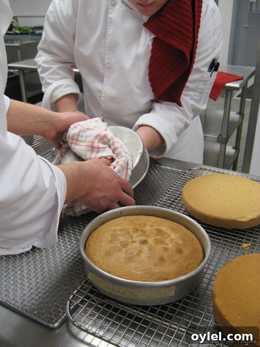 Day 4 Recipes: Macedoine and Strawberry Tarts 6 genoise cake