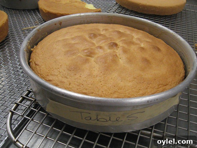 Day 4 Recipes: Macedoine and Strawberry Tarts 7 genoise cake