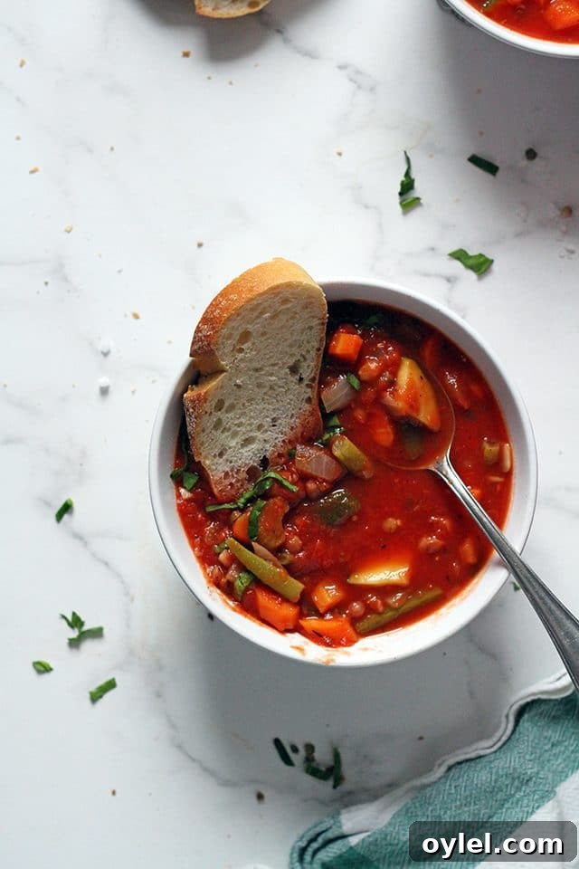 Vegan Minestrone Soup in a Bowl