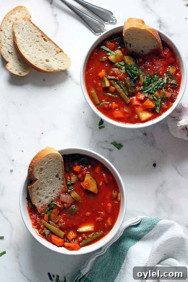 Vegan Minestrone Soup in a Two Bowls