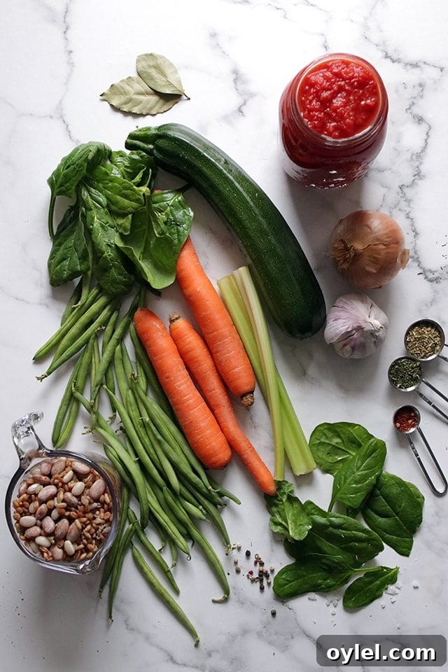 Ingredients for Vegan Minestrone Soup