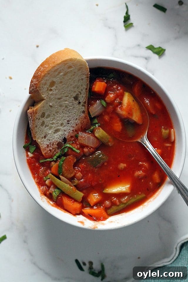 Vegan Minestrone Soup in a Bowl Centered