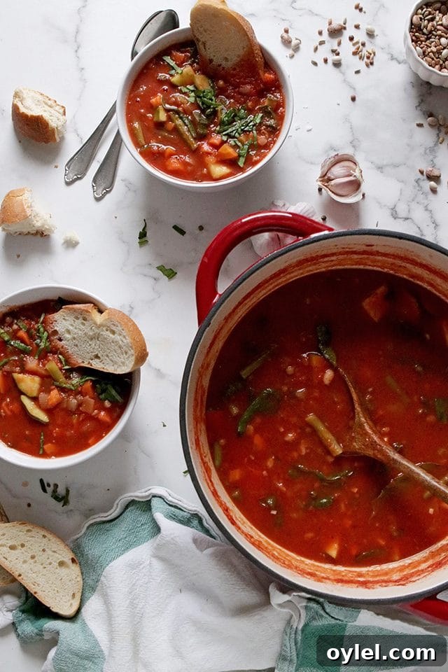 Vegan Minestrone Soup in a Pot and Bowls
