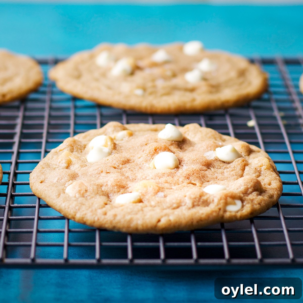 White chocolate chip cookies cooling on a wire baking rack.