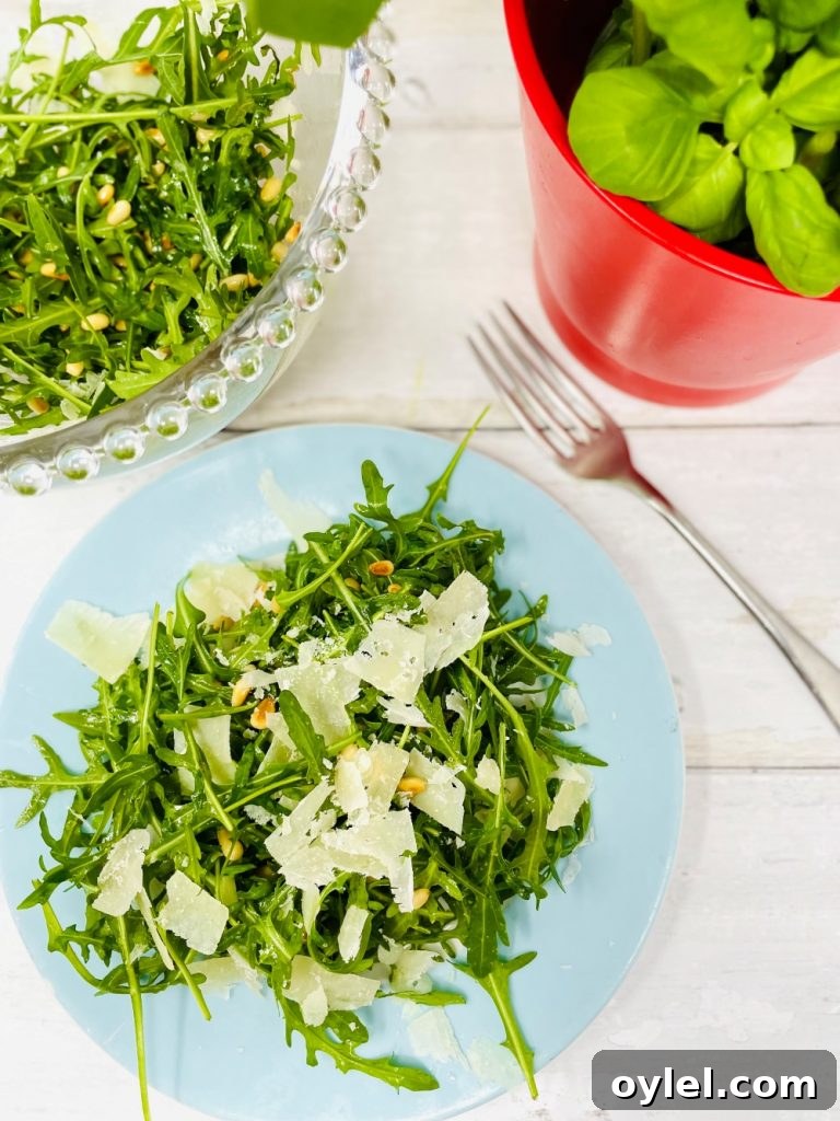 rocket salad in a glass bowl with a basil plant in the background