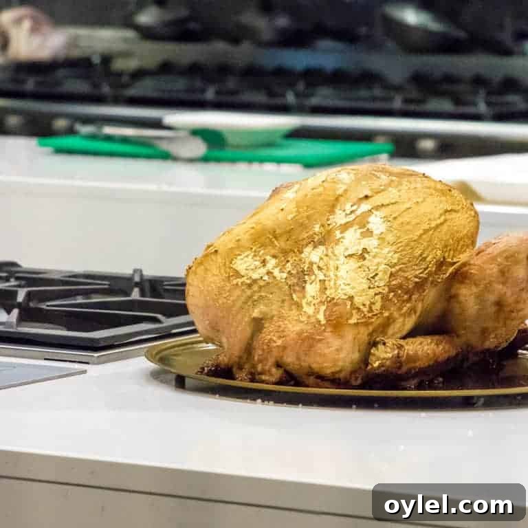 Iceland Foods gilded turkey on plate before serving christmas martini