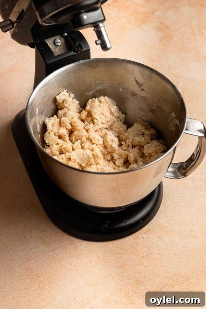 A standing mixer with a bowl full of flour mixture.