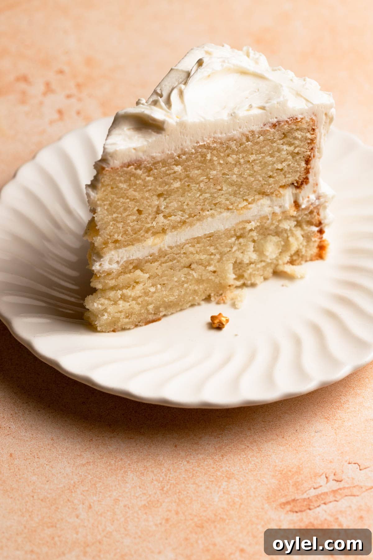 Two-layer cake slice.