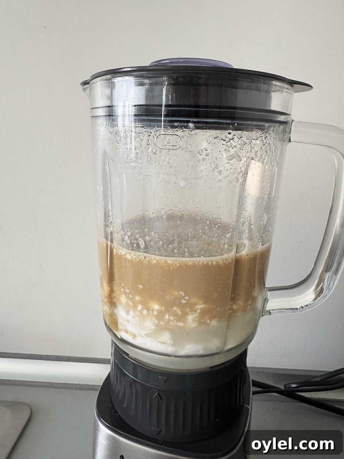 How to Make Ninja Creami Coffee Ice Cream 3 Ingredients in blender