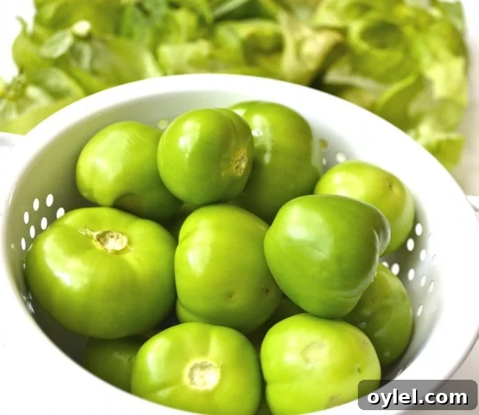 Authentic Roasted Tomatillo Salsa Recipe 4 Roasted Tomatillo and Jalapeno Salsa, the easiest Salsa Verde ever! Just roast and toss in the blender!