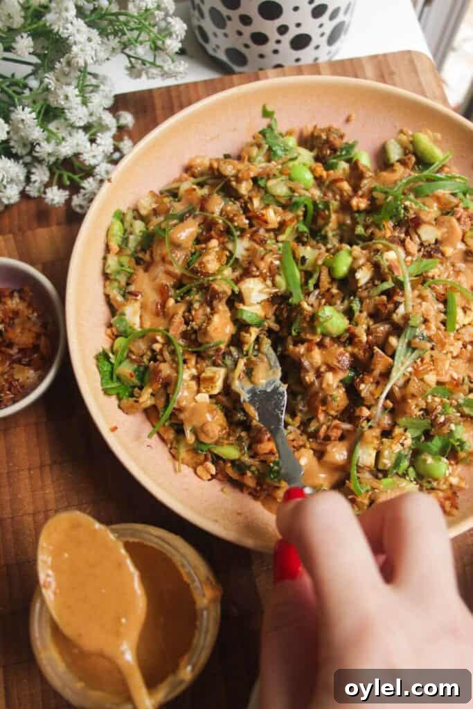 Chicken Shawarma Salad with Crispy Rice 11 Satay crispy rice salad in a pink bowl.