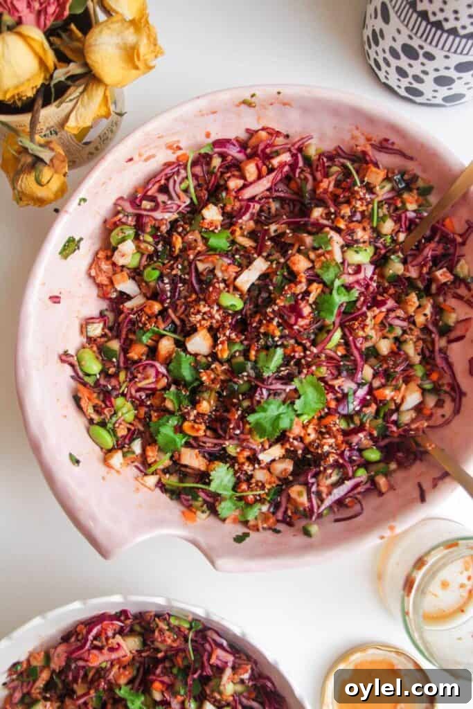 Chicken Shawarma Salad with Crispy Rice 13 Korean grilled chicken crispy rice salad in a large pink bowl.