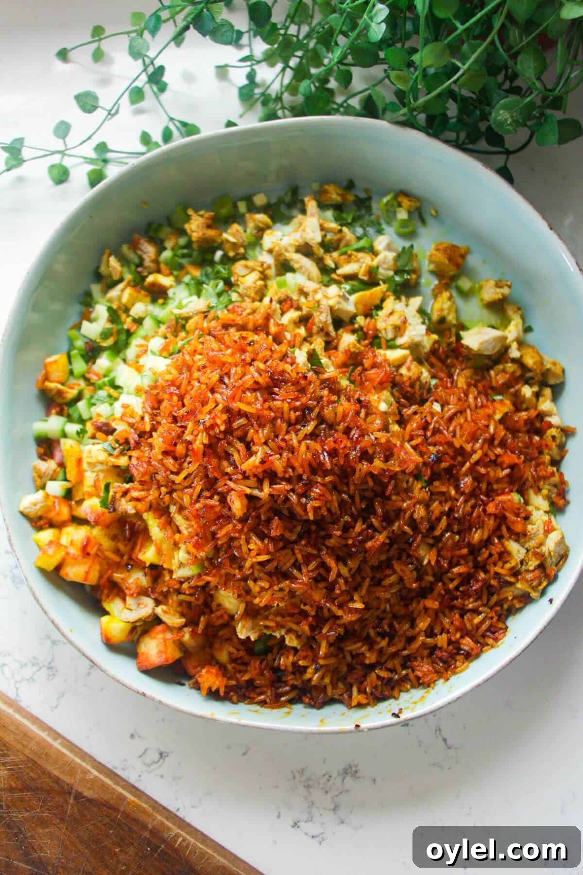 Chicken Shawarma Salad with Crispy Rice 9 Crispy rice poured on top of chicken shawarma salad in a large bowl.