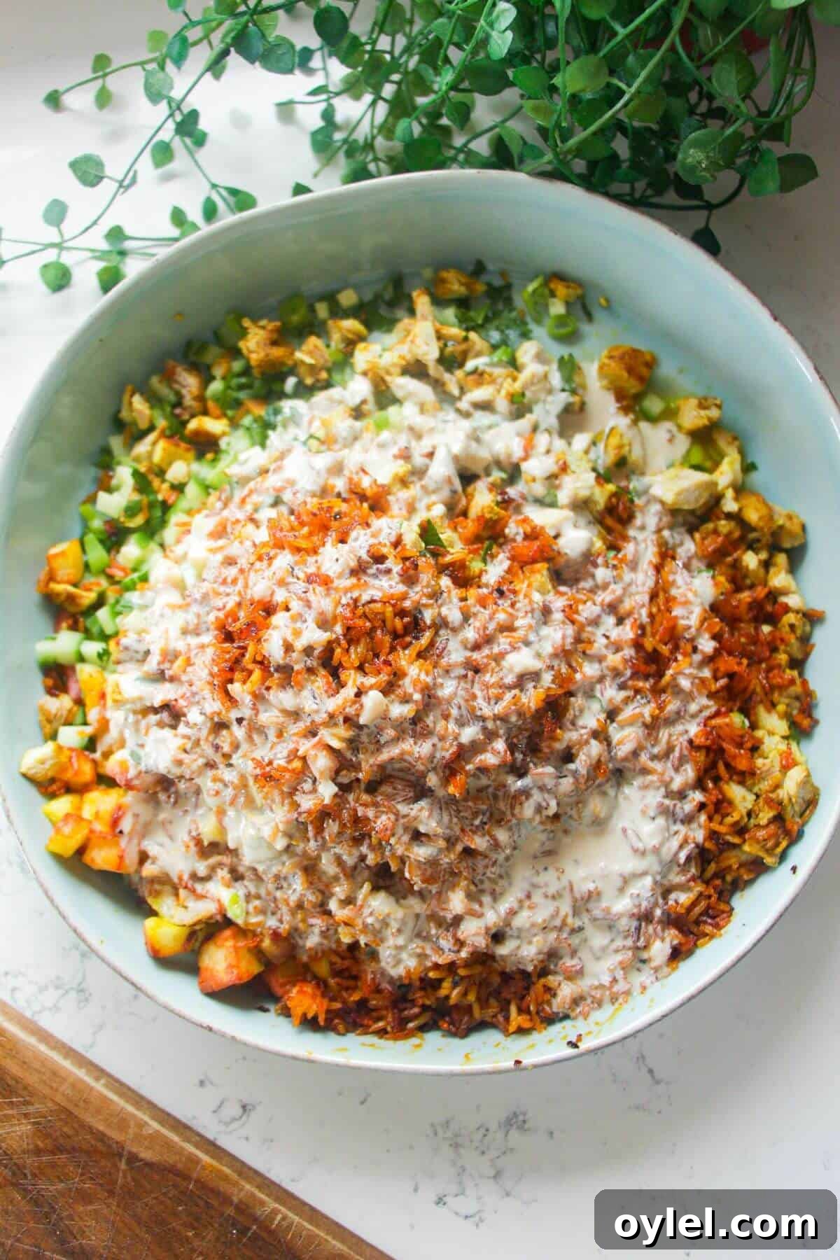 Chicken Shawarma Salad with Crispy Rice 10 Tahini dressing poured over shawarma crispy rice salad.